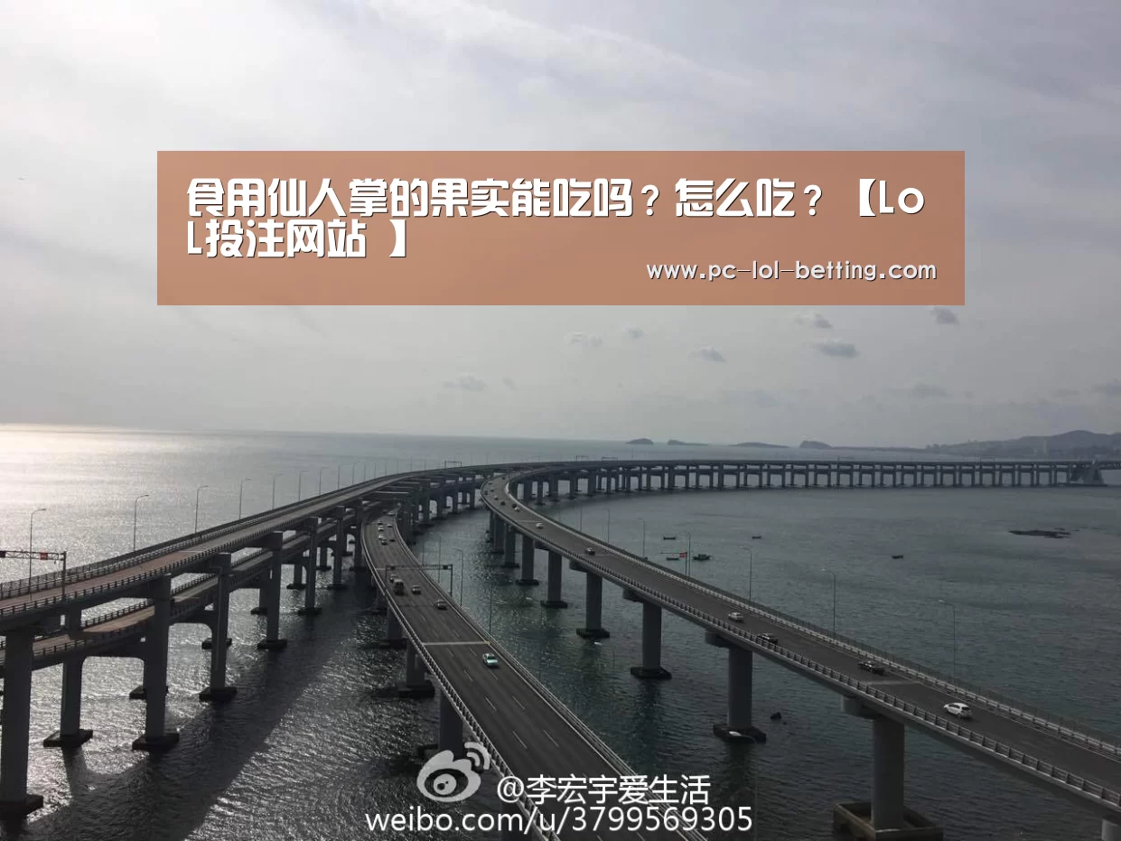 2026年最佳英雄联盟投注网站