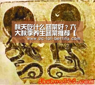  2026年最佳英雄联盟投注网站