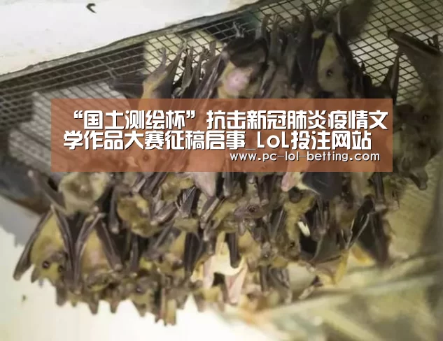 LoL投注网站 
