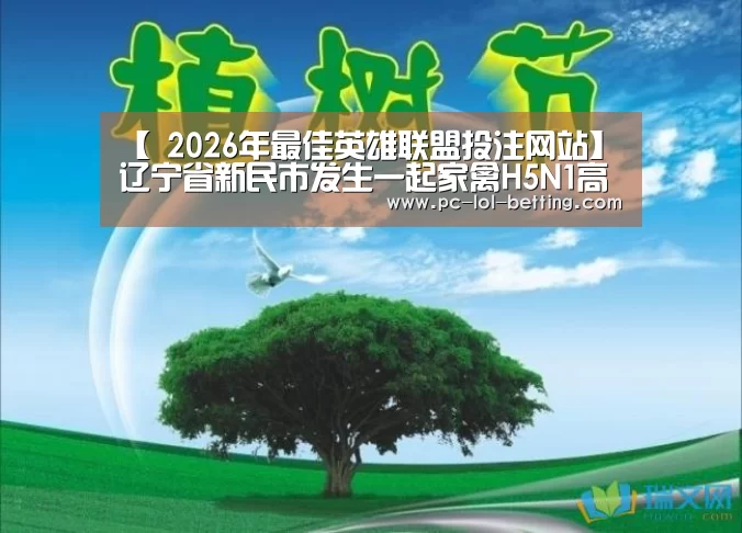  2026年最佳英雄联盟投注网站